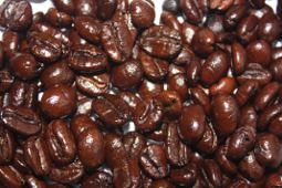 The super shiney Deathwish Coffee beans