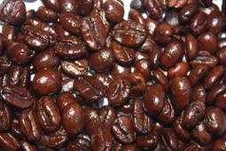 The super shiney Deathwish Coffee beans